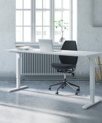 Standing Desk Frames