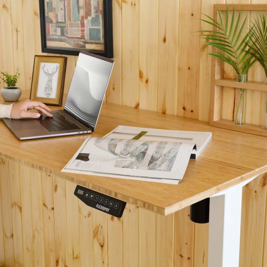 Bamboo Desk Top Flexispot