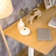 Bamboo Desk Top Flexispot