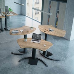 Ergonomic Desk With Single Leg Frame Conset 501-19-120