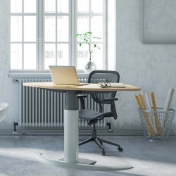 Ergonomic Desk With Single Leg Frame Conset 501-19-120