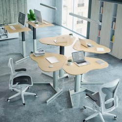 Ergonomic Desk With Single Leg Frame Conset 501-19-095