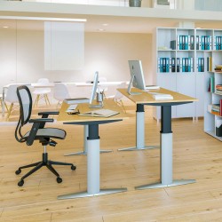 Ergonomic Desk With Powerful Adjustable Frame Conset 501-23