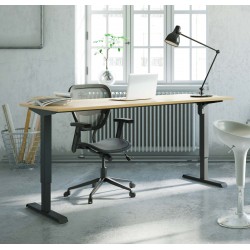 Ergonomic Desk 71x31 Conset 501-33