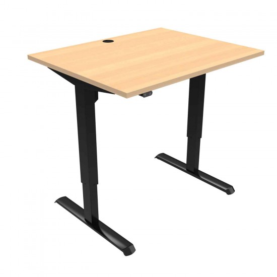 Ergonomic Desk with Tabletop 39