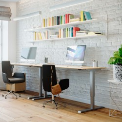 Ergonomic Desk 47x31 Conset 501-33