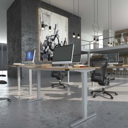 Ergonomic Desk 59x31 Conset 501-33