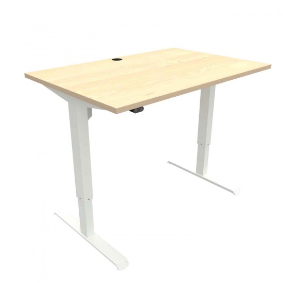 Ergonomic Desk 59x31 Conset 501-33