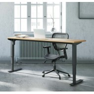 Ergonomic Desk with 3-stage lift columns Conset 501-37