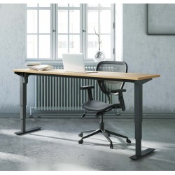 Ergonomic Desk with 3-stage lift columns Conset 501-37
