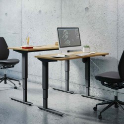 Ergonomic Desk 47x31 with 3-stage lift columns Conset 501-37