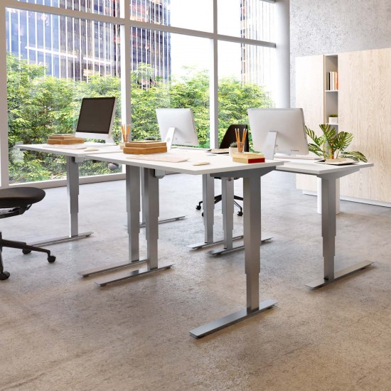 Ergonomic Desk with Tabletop 47"x31" with 3-stage lifting columns