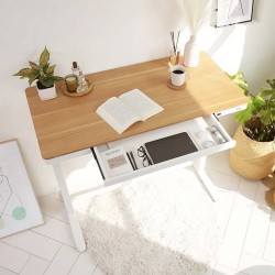 Stand Up Desk Flexispot Comhar