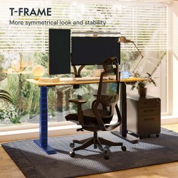 Stand Up Desk Flexispot E7