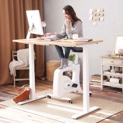 Stand Up Desk Flexispot E7